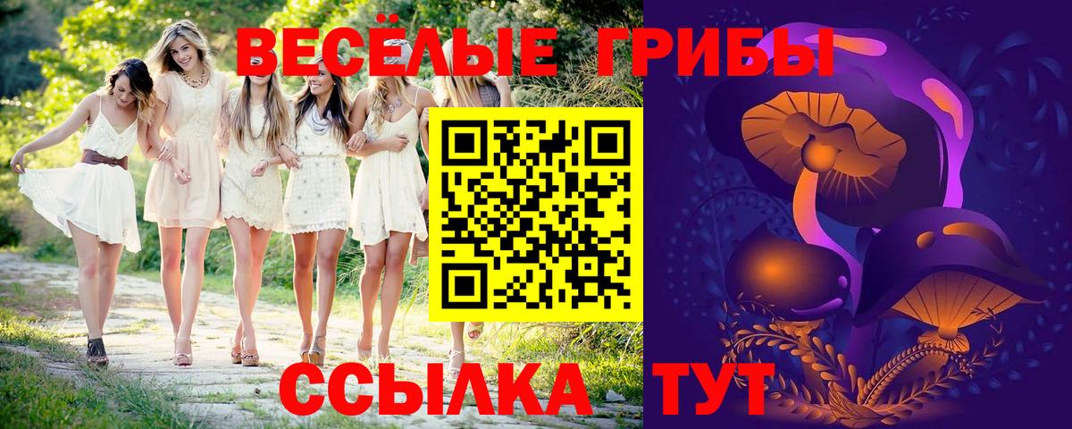 Псилоцибиновые грибы ЛСД  Псилоцибиновые грибы Psilocybe  Красный Сулин  Вход с VPN 